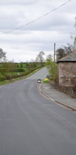 28401 437223276152 1959817 n 437223276152