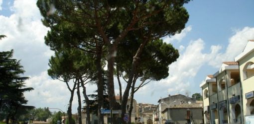 1915075 464905791152 6671842 n 464905791152